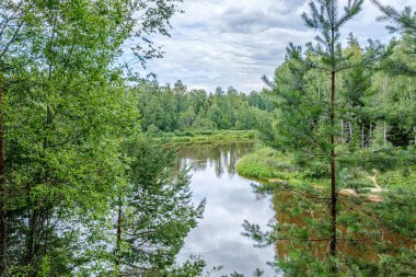 Letonya'da Gauja Nehri, yaz aylarında ağaçların arasından görünümü