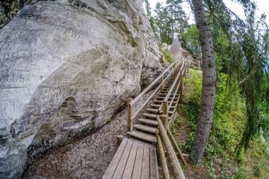 Gauja nehrinin kıyısındaki Sietiniezis 'in kumtaşı kayalıkları 