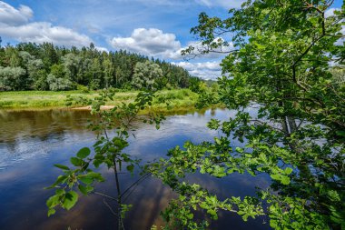 Letonya'da Gauja Nehri, yaz aylarında ağaçların arasından görünümü