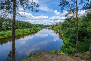 Letonya'da Gauja Nehri, yaz aylarında ağaçların arasından görünümü