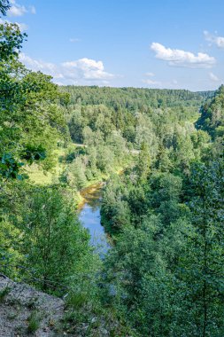 yaz aylarında nehir yakınındaki ormanda rekreasyon alanı