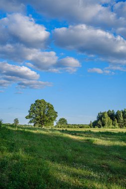 yaz akşamı doğal kırsal görünümü