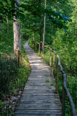 Ormanda merdivenleri olan eski tahta köprü.