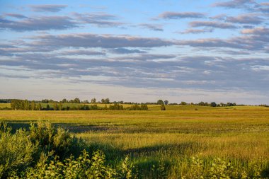 yaz akşamı doğal kırsal görünümü