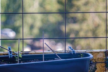 çiçek kutusu ve bulanıklık arka plan ile balkony metal çubuklar