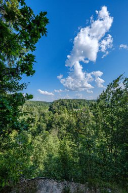 yukarıda yaz mavi gökyüzünde orman ve çayır manzara