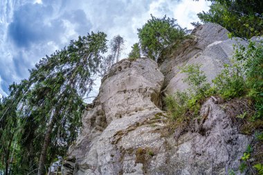 Gauja nehrinin kıyısındaki Sietiniezis 'in kumtaşı kayalıkları 