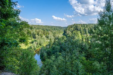 yaz aylarında nehir yakınındaki ormanda rekreasyon alanı