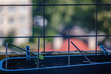 çiçek kutusu ve bulanıklık arka plan ile balkony metal çubuklar