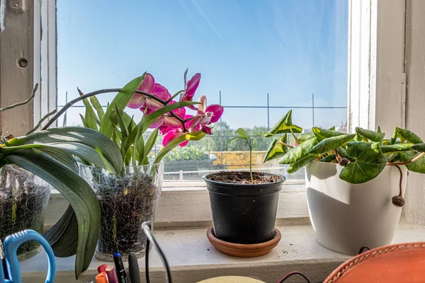 Appartement ramen tegen Blye hemel en vies glas — Stockfoto