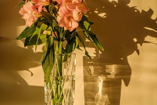 Flores no vaso de vidro no apartamento — Fotografia de Stock