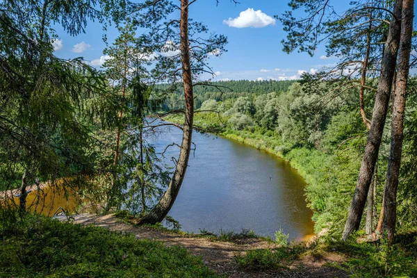 Recreatiegebied in bos in de buurt van de rivier in de zomer — Stockfoto