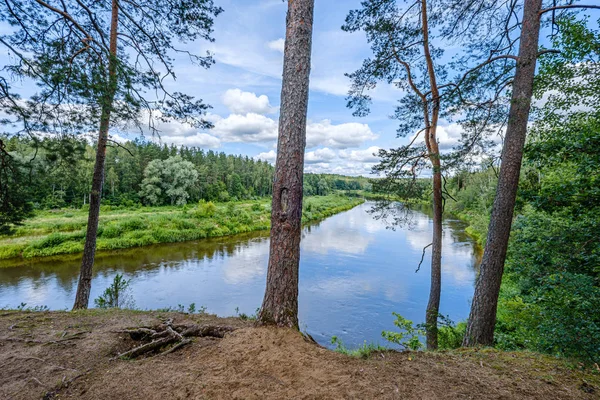Letonya'da Gauja Nehri, yaz aylarında ağaçların arasından görünümü — Stok fotoğraf