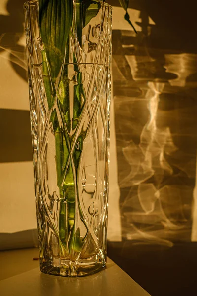 Virágok az üvegvázában az apartmanban — Stock Fotó