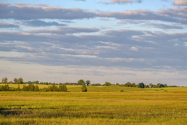 Natural countryside view in summer evening — Stock Photo, Image