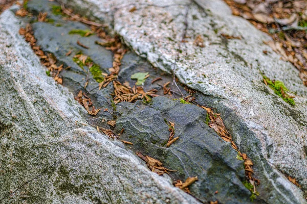 Tvarovaná struktura cihel a kamene v přírodě — Stock fotografie