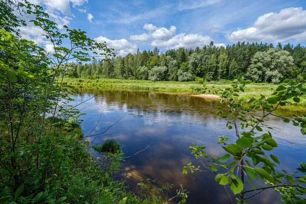 Rio Gauja na Letônia, vista através das árvores no verão — Fotografia de Stock