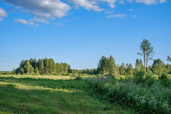 Natuurlijk uitzicht op het platteland in de zomeravond — Stockfoto