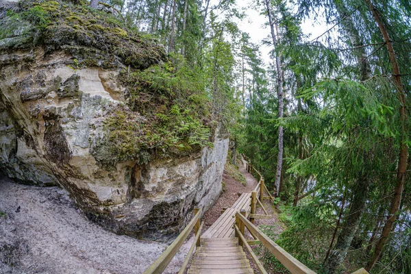 Falaises de grès de Sietiniezis sur la rive de la rivière Gauja — Photo