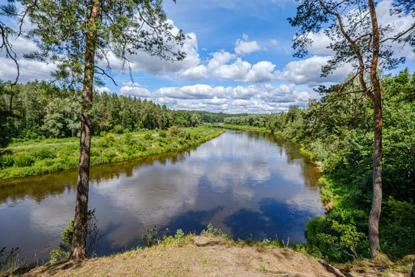 Letonya'da Gauja Nehri, yaz aylarında ağaçların arasından görünümü — Stok fotoğraf