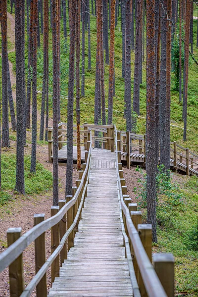Old wooden plank footbridge with stairs in forest — Stock Photo, Image
