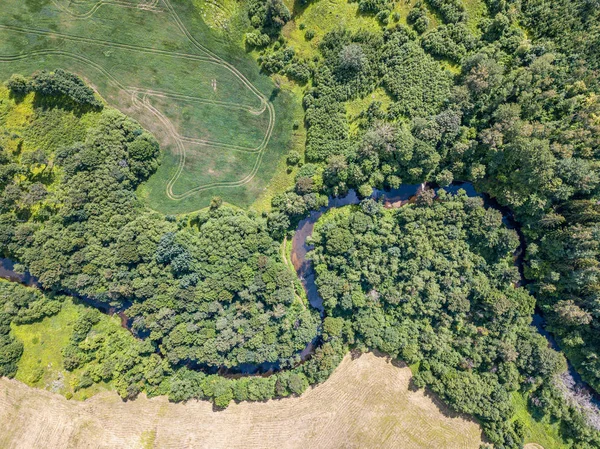 Aerial drone view of small river serpentine in forest — Stock Photo, Image