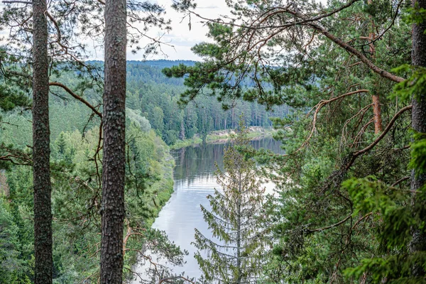 Sungai Gauja di Latvia, pemandangan melalui pohon-pohon di musim panas — Stok Foto