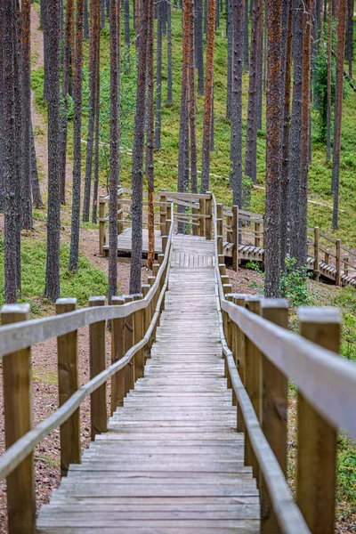 Oude houten plank voetgangersbrug met trap in bos — Stockfoto