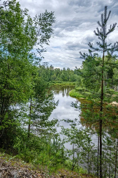 Rio Gauja na Letônia, vista através das árvores no verão — Fotografia de Stock