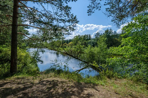Yaz aylarında nehir yakınındaki ormanda rekreasyon alanı — Stok fotoğraf