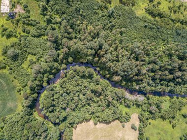 ormanda küçük nehir serpantin havadan drone görünümü