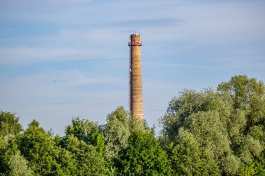 yeşil ağaç muhafaza fabrikadan taş tuğla kentsel baca