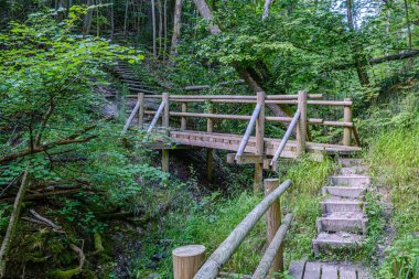 ormanda küçük nehir üzerinde ahşap köprü