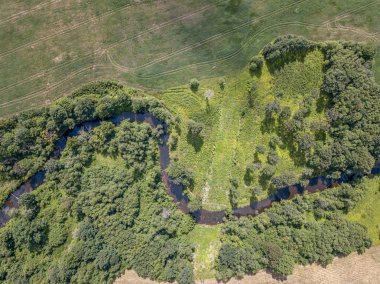 ormanda küçük nehir serpantin havadan drone görünümü
