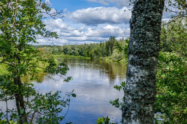 Letonya'da Gauja Nehri, yaz aylarında ağaçların arasından görünümü