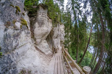 Gauja nehrinin kıyısındaki Sietiniezis 'in kumtaşı kayalıkları 
