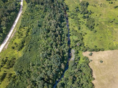 ormanda küçük nehir serpantin havadan drone görünümü