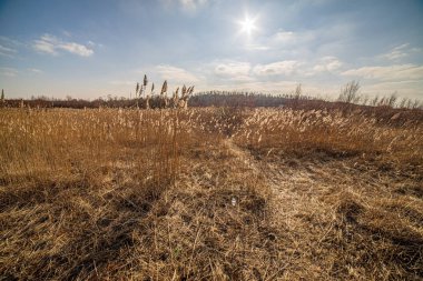 yaz akşamı doğal kırsal görünümü