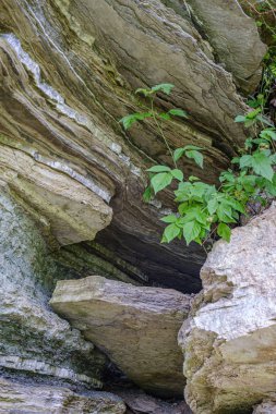 Nehir kıyısında kumtaşı kayalıklar 