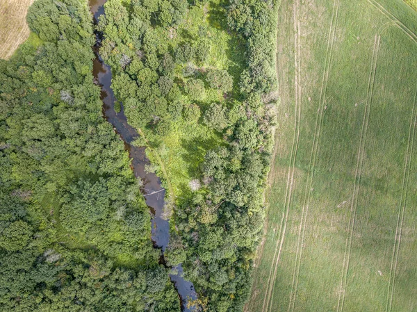 Aerial drone view of small river serpentine in forest — Stock Photo, Image