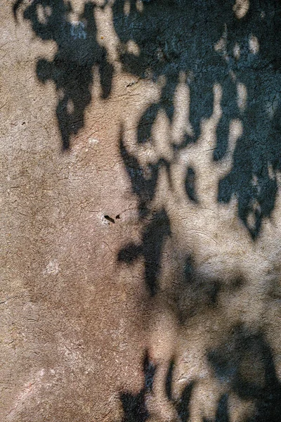 Ombres abstraites sur le mur — Photo