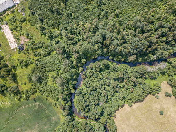 Aerial drone view of small snake river serpentine in forest. green summer landscape texture