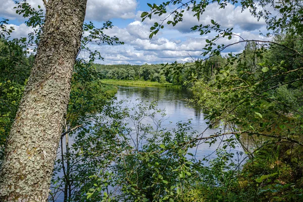 Fluss Gauja in Lettland, Blick durch die Bäume im Sommer — Stockfoto