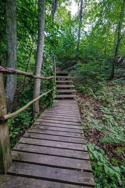 Prancha de madeira velha passarela com escadas na floresta — Fotografia de Stock