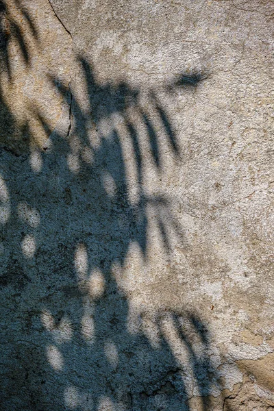 abstract shadows on the wall