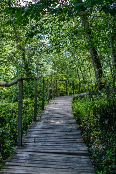 Старый деревянный пешеходный мост с лестницами в лесу — стоковое фото