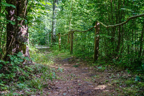 Naturalny szlak turystyczny w lesie w pobliżu małej rzeki w lesie — Zdjęcie stockowe