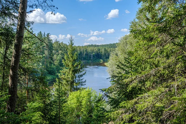 Obszar rekreacyjny w lesie w pobliżu rzeki w lecie — Zdjęcie stockowe