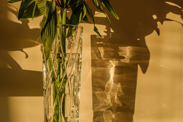 Flores en el jarrón de cristal en el apartamento —  Fotos de Stock