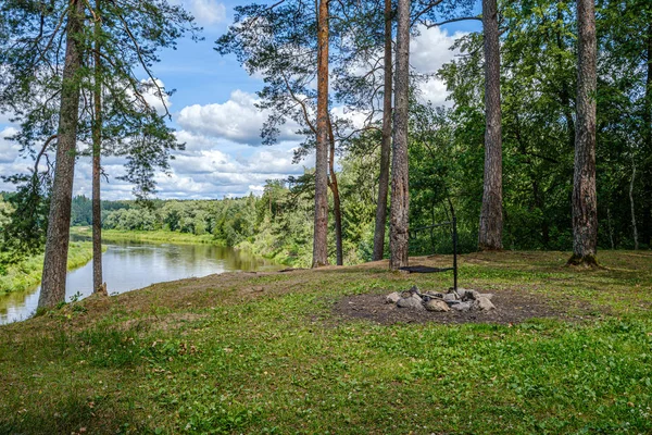 Letonya'da Gauja Nehri, yaz aylarında ağaçların arasından görünümü — Stok fotoğraf